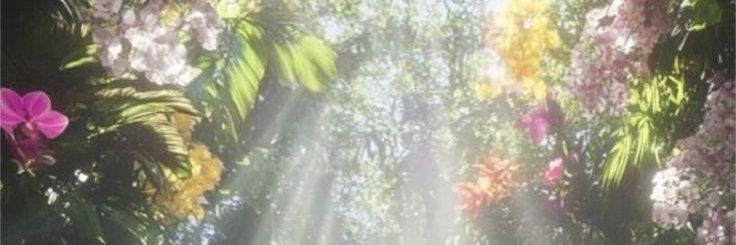 BRII_STARR's profile banner image