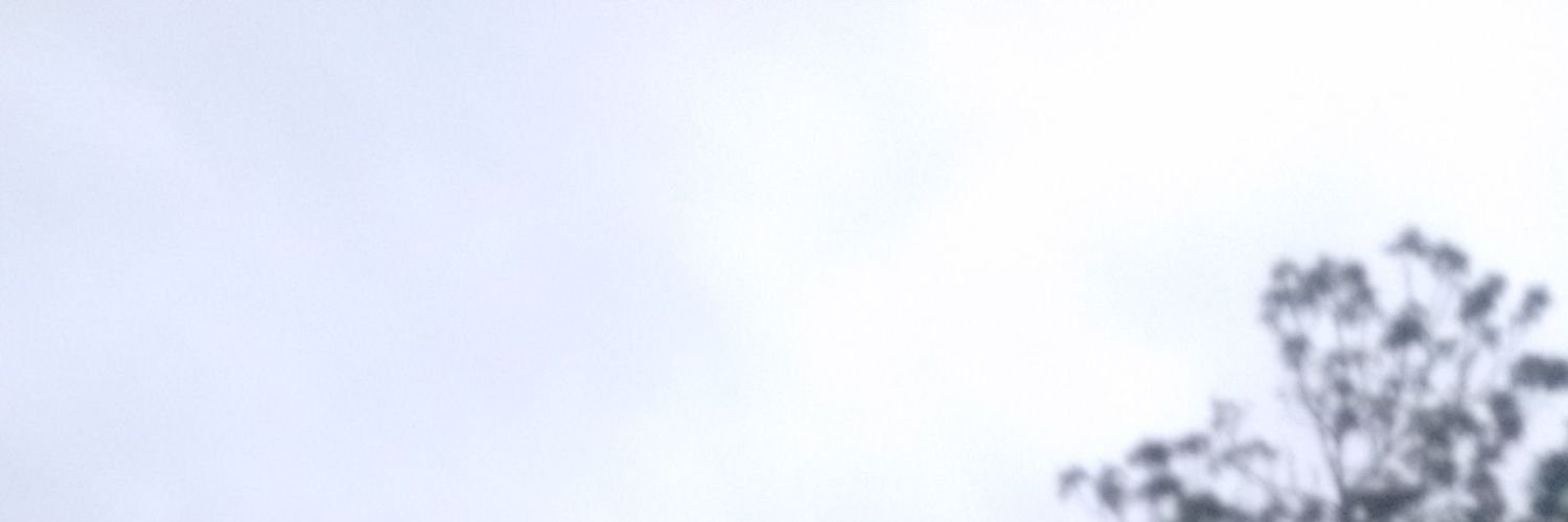 bigieipo's profile banner image
