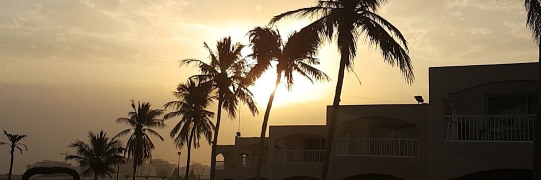Calm1661's profile banner image