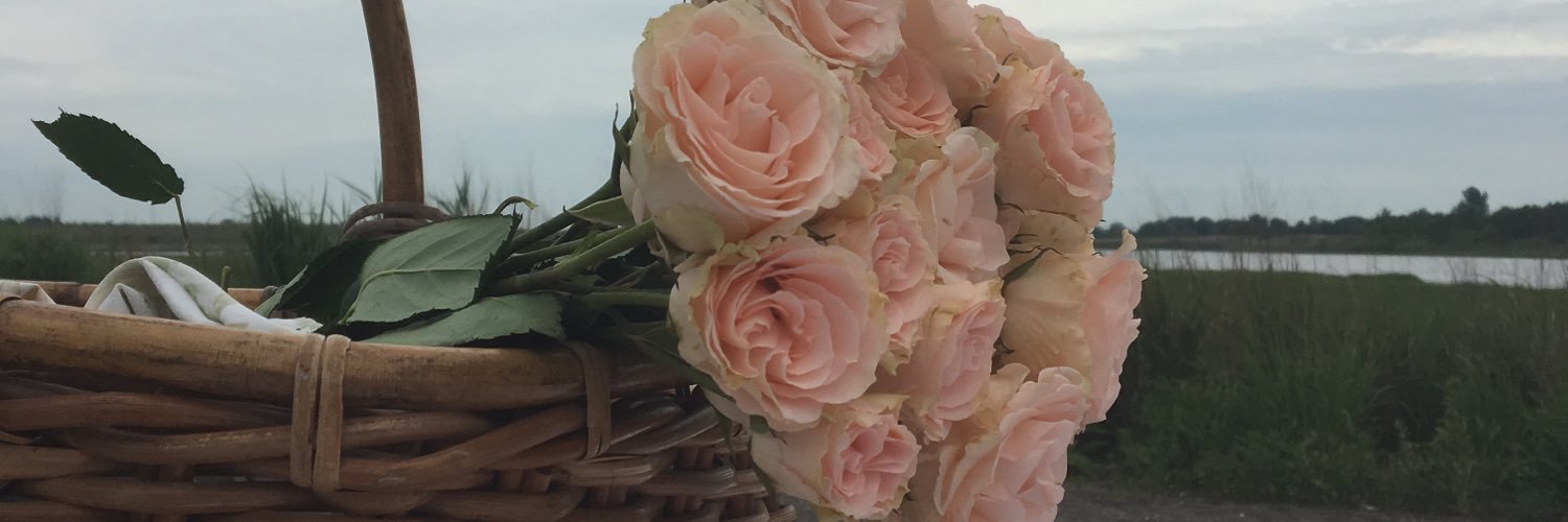 sabritheking's profile banner image