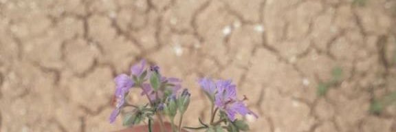 biish170's profile banner image