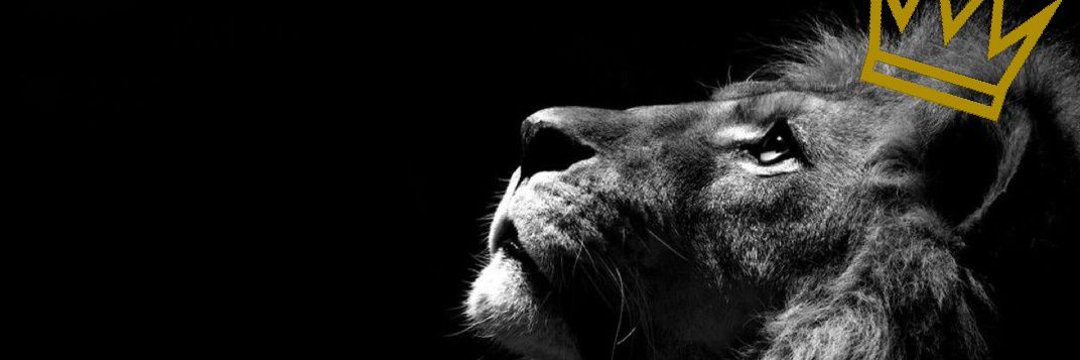 راشد 🇦🇪💪🏼⁩ banner