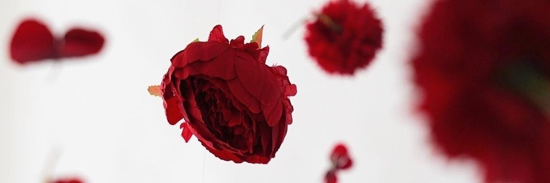 Elif_2402's profile banner image