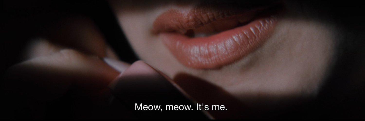 Salch Ketchum banner