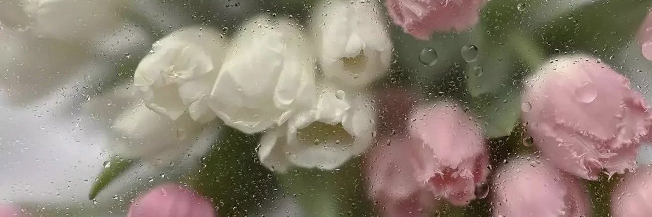Rnnnn__13's profile banner image