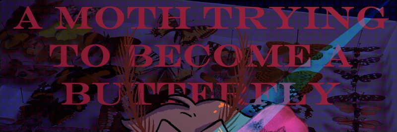 certainly batbeato's the best banner