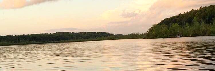 archer433's profile banner image