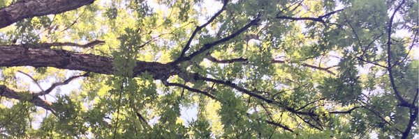 ChonyAlbertMD Profile Banner