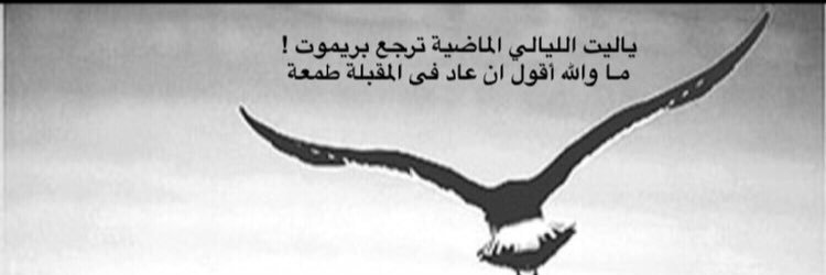 Aey_991's profile banner image