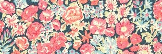 MariaRosaOlid's profile banner image