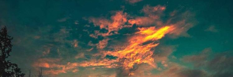stewierk0c's profile banner image