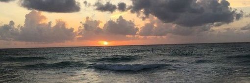 OlaWael6's profile banner image