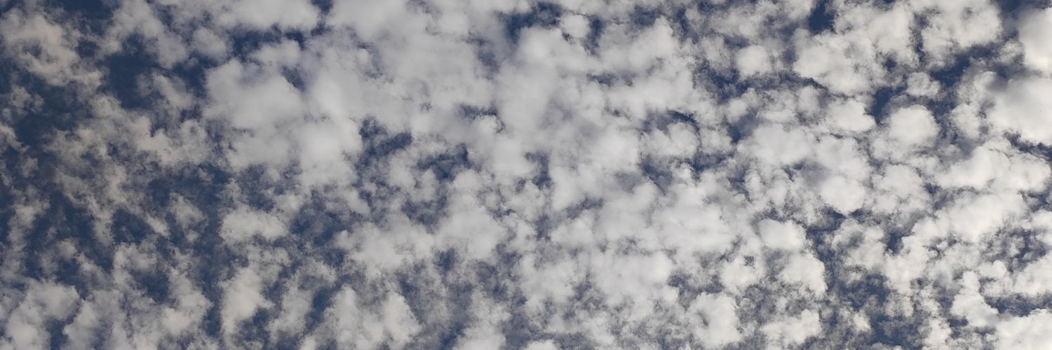 Pau_Lets's profile banner image
