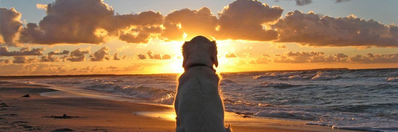 sdfsadfds1's profile banner image