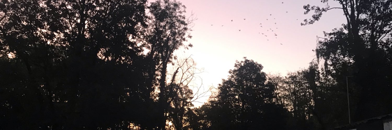prettyoddfran's profile banner image