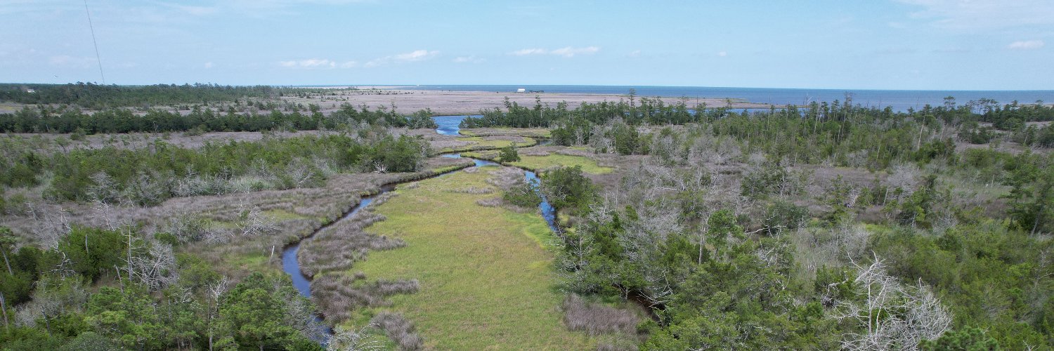 M.C. Ricker 🐲 banner