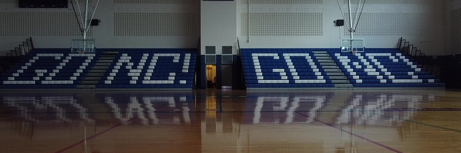 Niagara College Knights banner