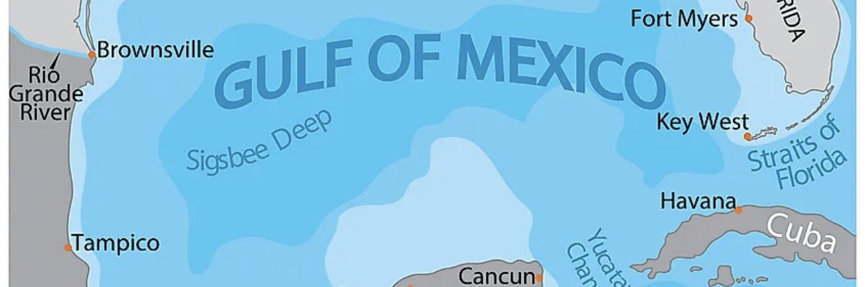 SoCo Watcher #StandWithUkraine 🇺🇦 banner