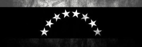 SASG banner
