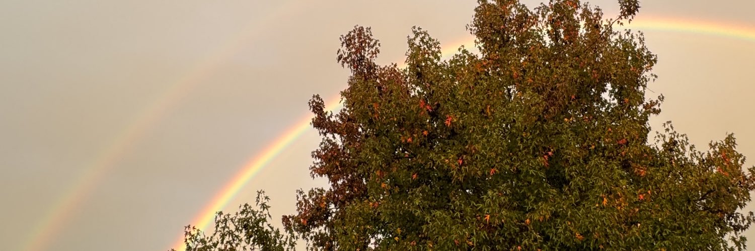simurgittroyd's profile banner image