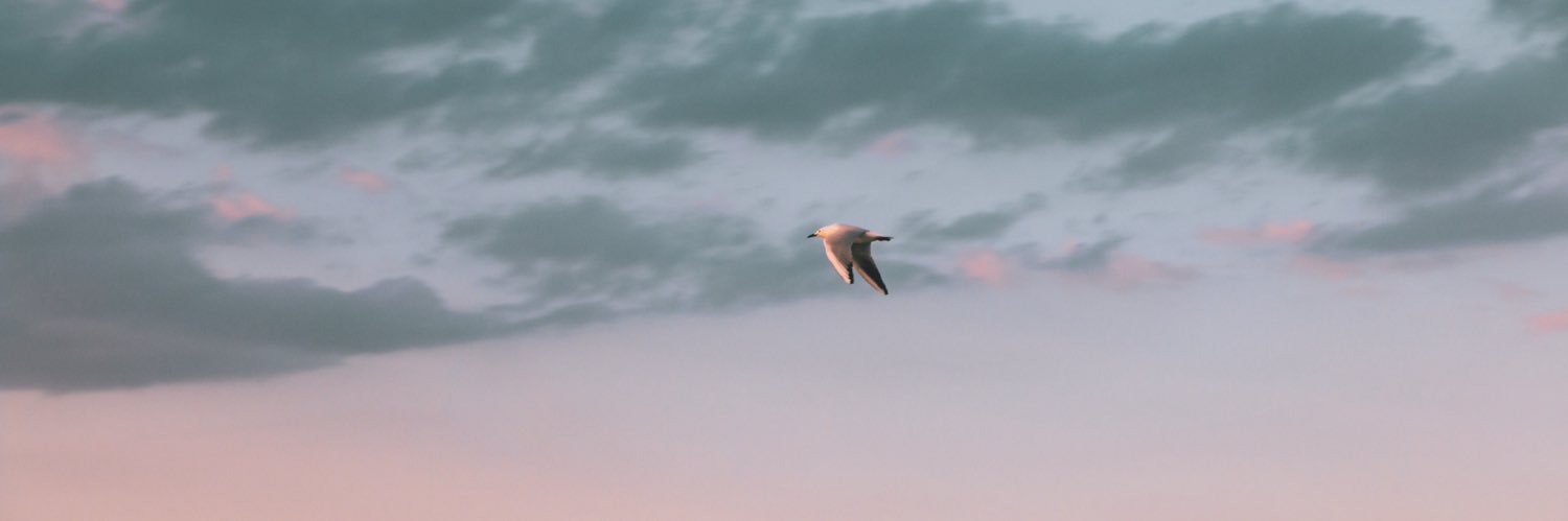 abbodicam's profile banner image