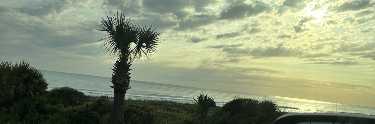 r0bs0n8's profile banner image