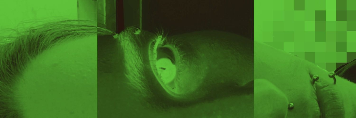 volknov's profile banner image