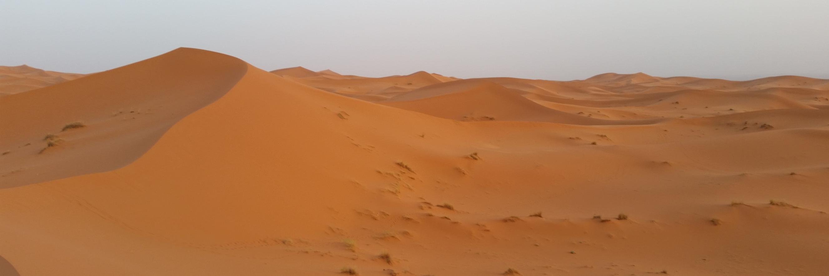 David Gutiérrez banner