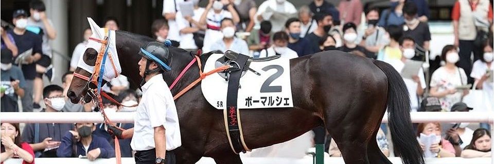 ishibie's profile banner image