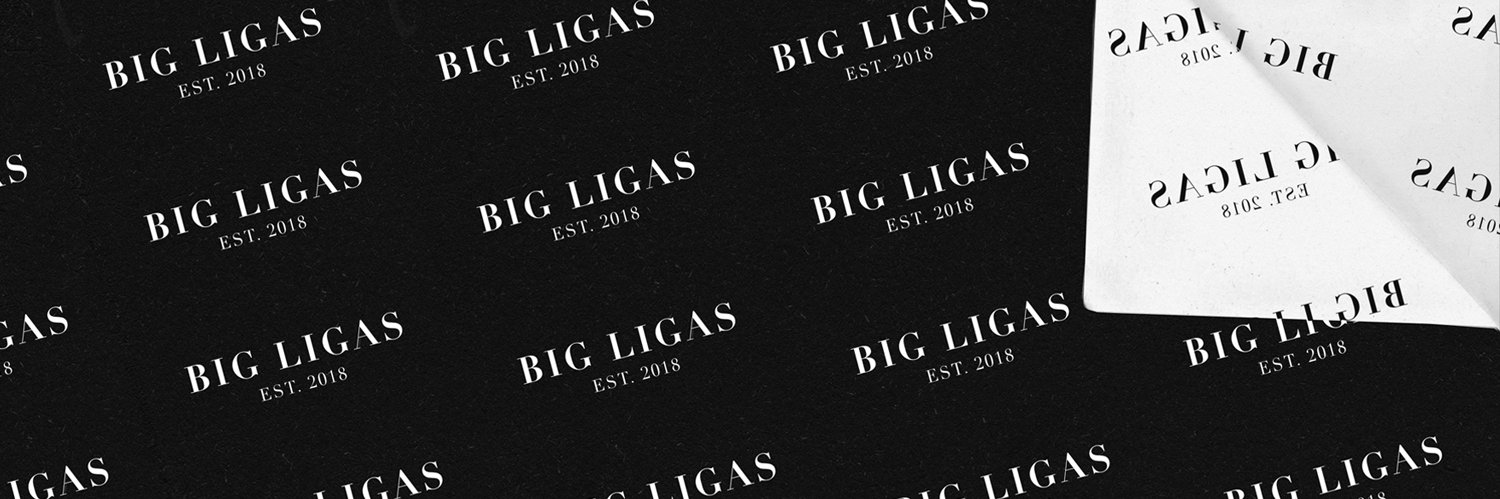 Big Ligas's banner