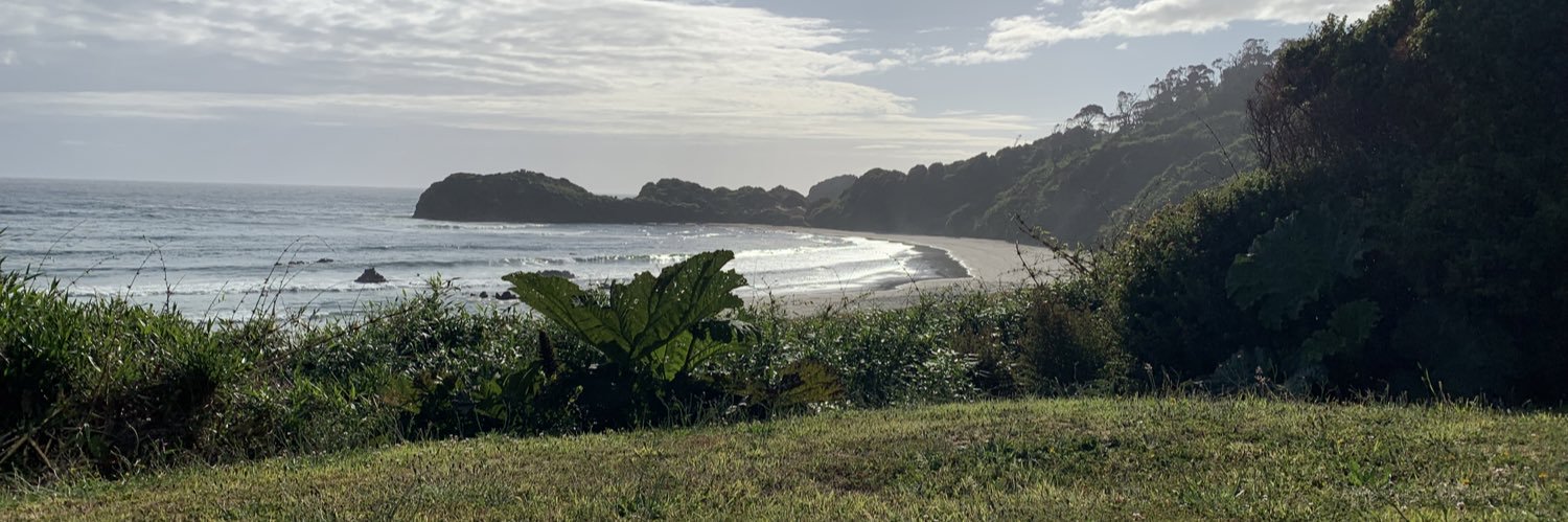 Javier Cárdenas N. banner