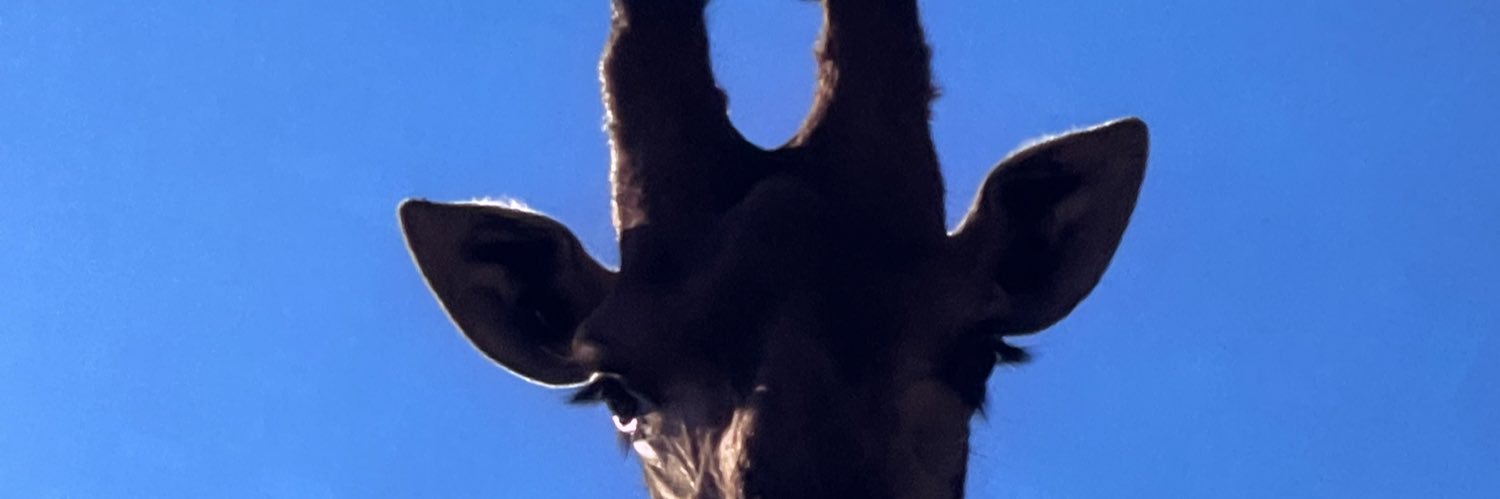 Gaby Piña banner
