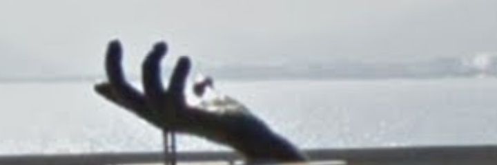raydanabe's profile banner image