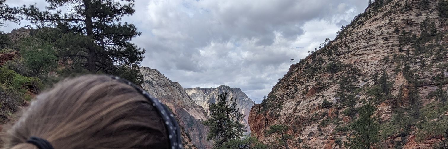 Haley Thannum banner