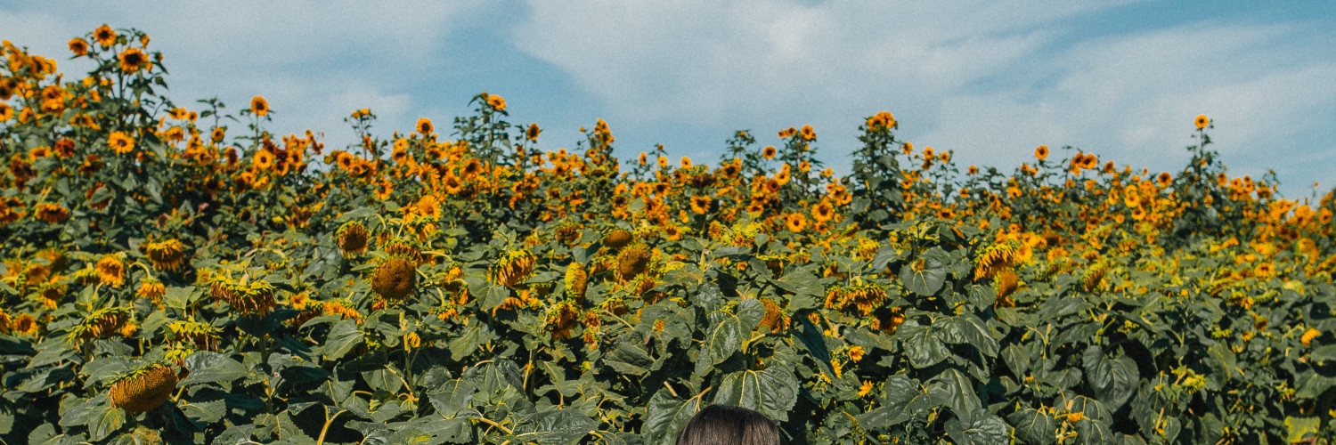 madcrayy's profile banner image
