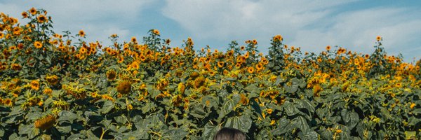 madcrayy Profile Banner