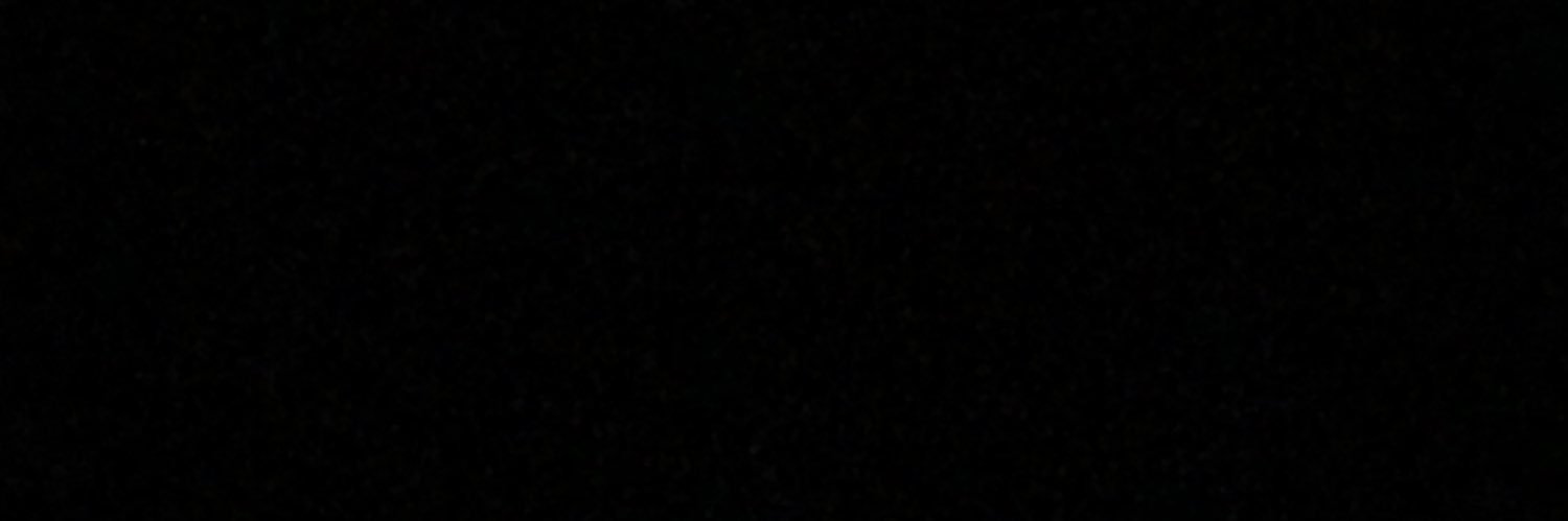BetsyVasques_'s profile banner image