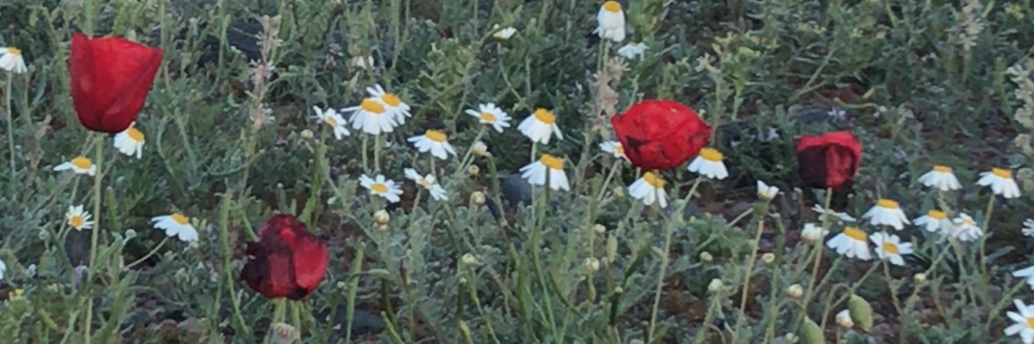 ابو الليل banner