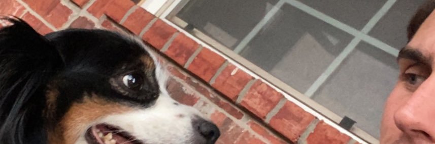 DHBerg81's profile banner image