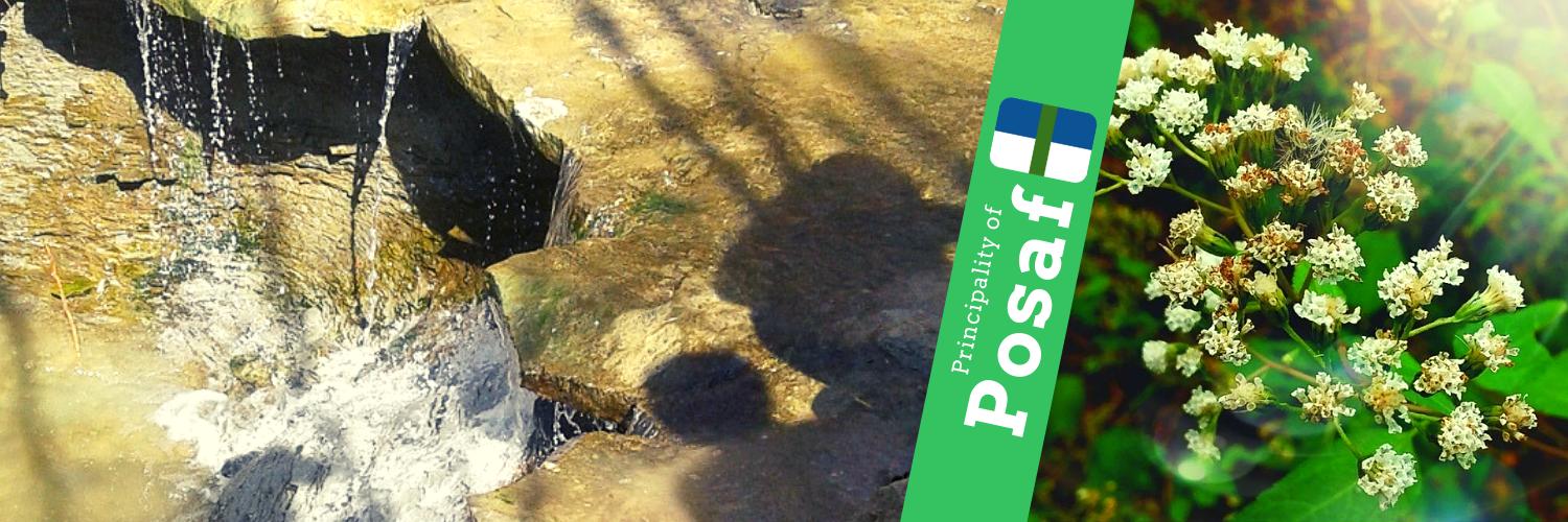 Posaf Government banner