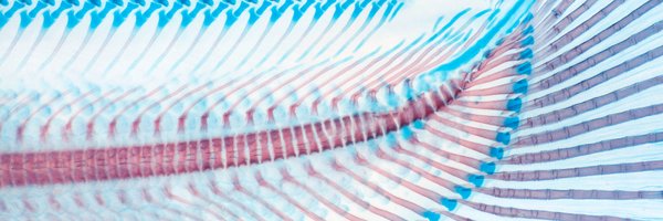 Zach__Randall Profile Banner