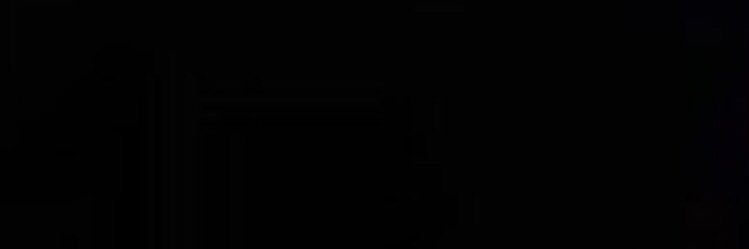 ngwii banner