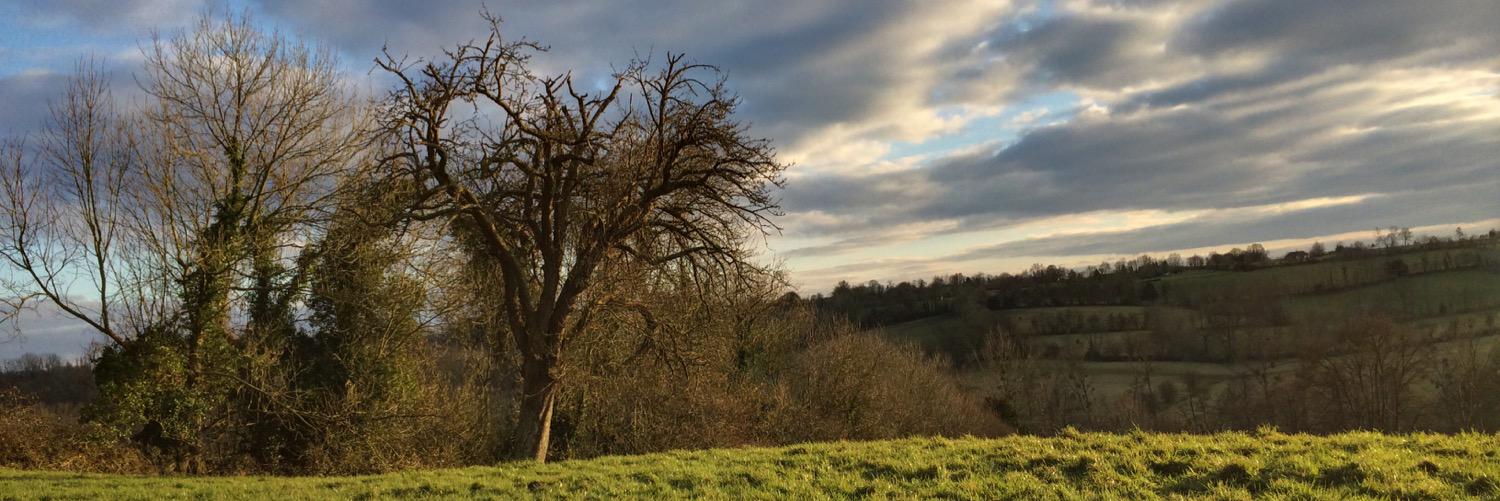 LBremond's profile banner image