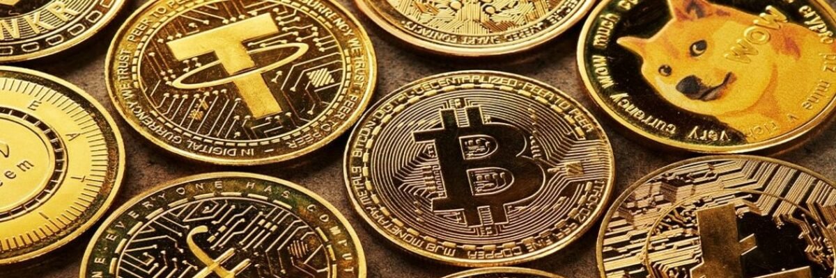 vawolfwill's profile banner image