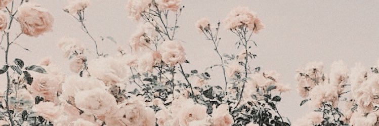 drewmckenna's profile banner image