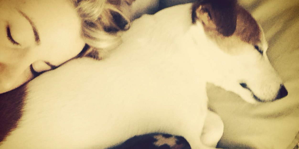 anniephilomena's profile banner image