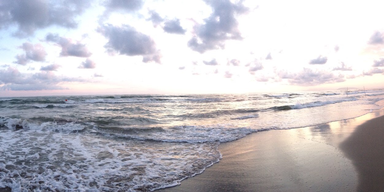 Shandi Finnessey banner