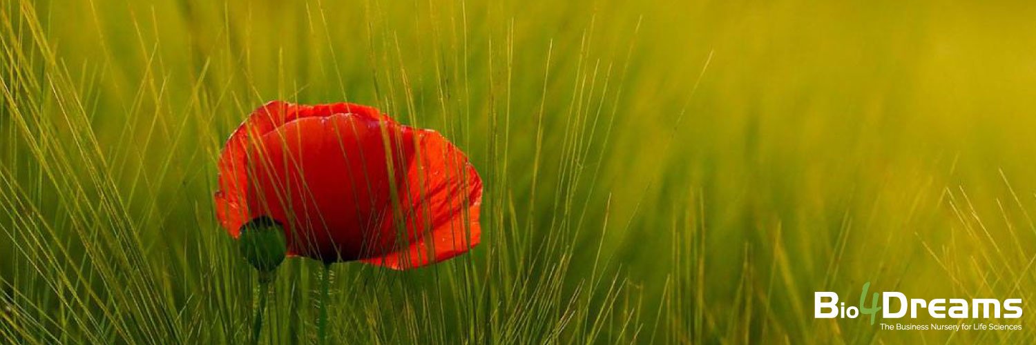 Bio4Dreams banner