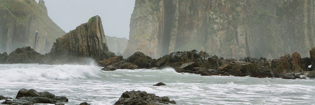 Cephs & Chefs banner