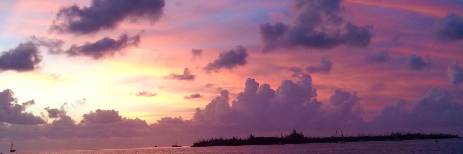 kim_souther's profile banner image